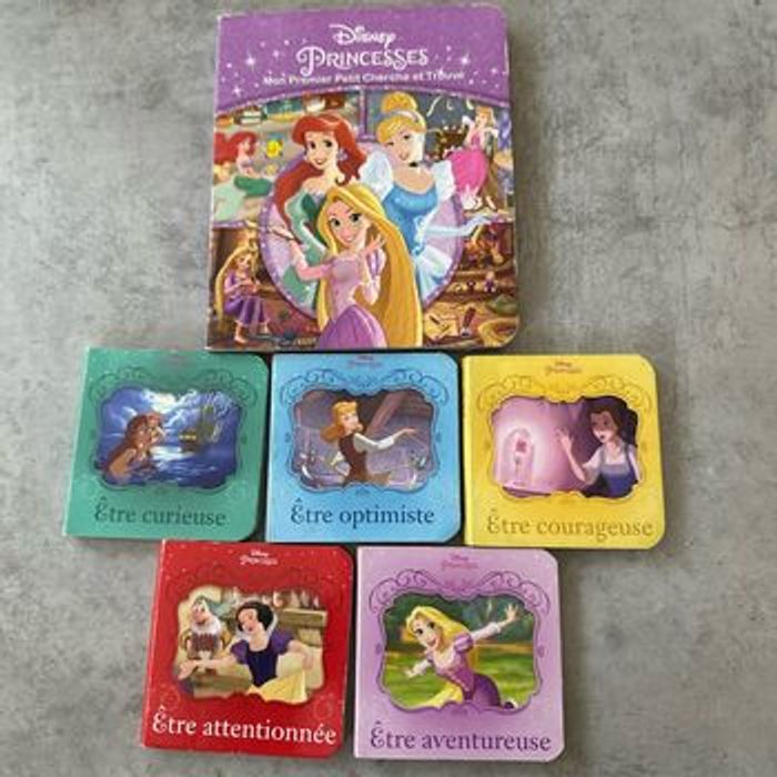 Lot 6 livres princesses Disney