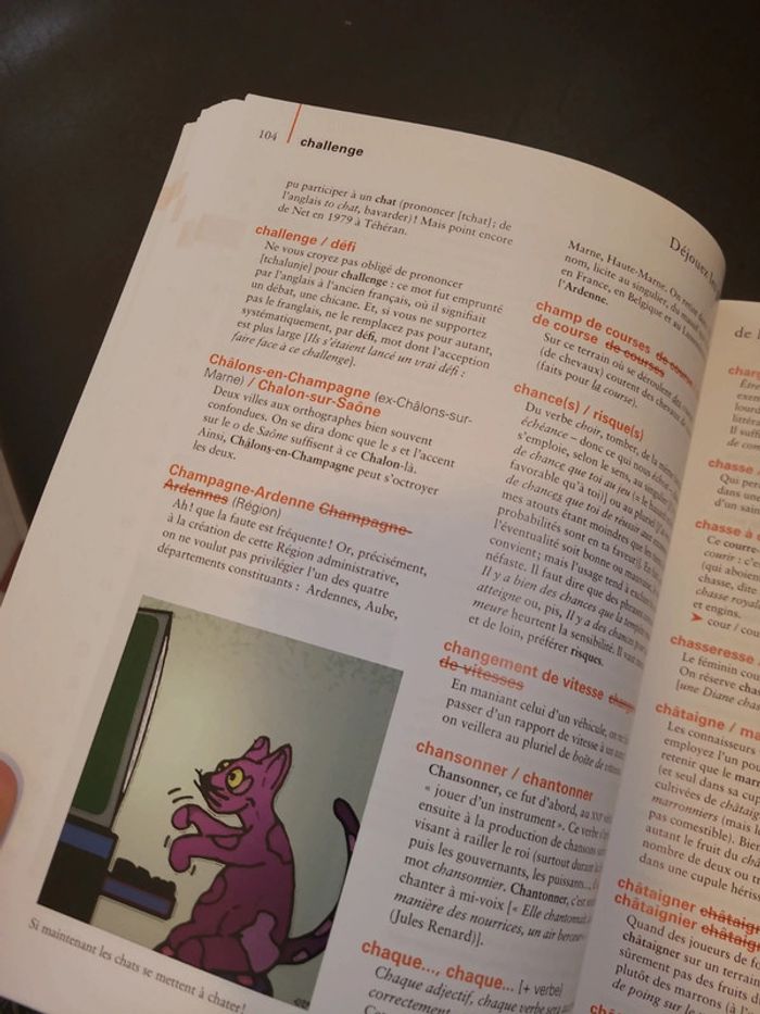 L'essentiel du français sans fautes - photo numéro 5