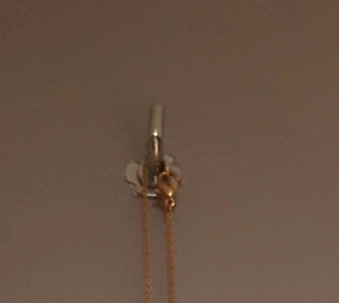 Collier - photo numéro 4