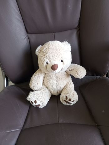 Joli nounours 