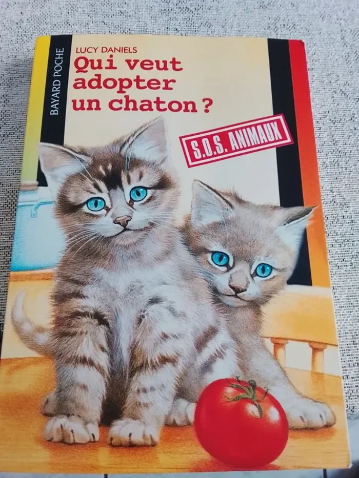 Qui veut adopter un petit chaton ? - photo numéro 2