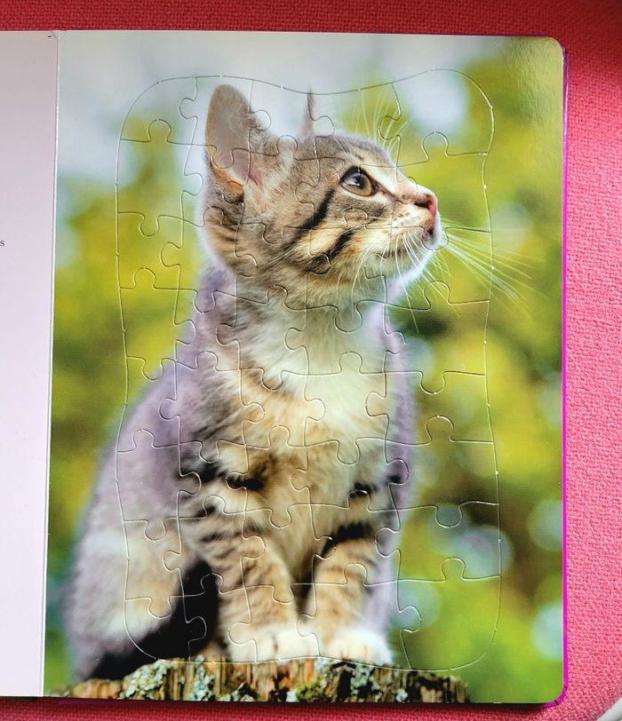 3 Puzzles de chats - photo numéro 3