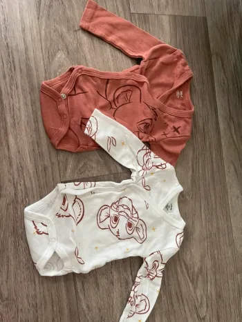 Lot body Disney
