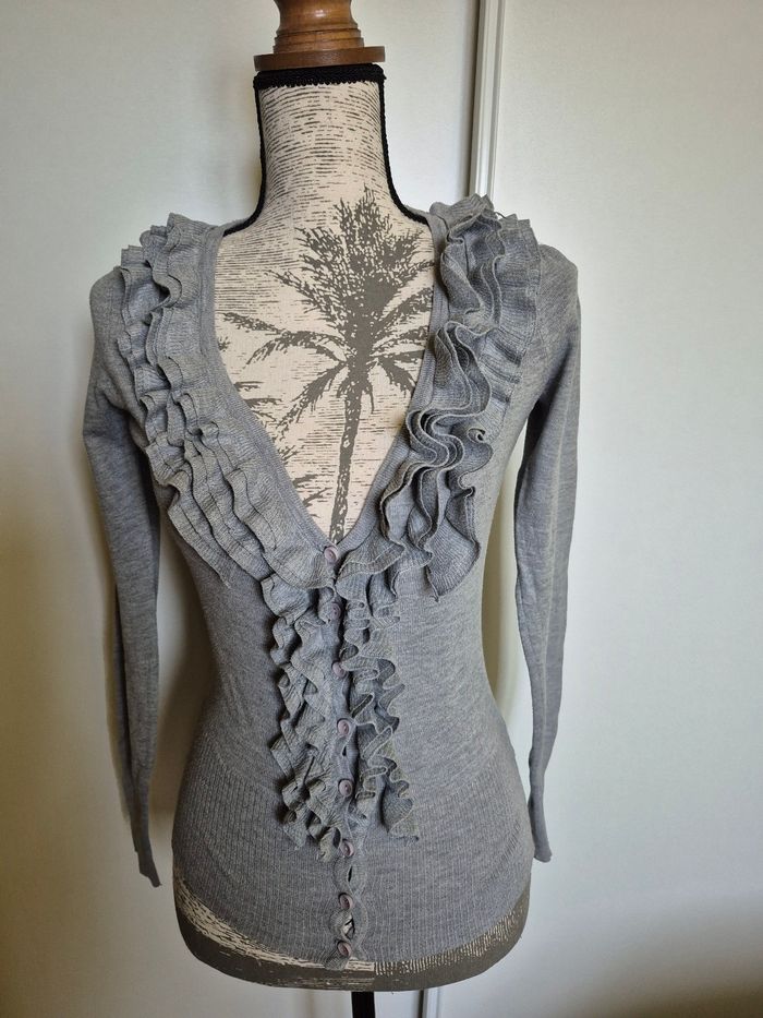 Gilet gris