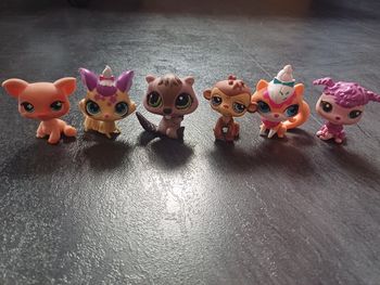 Petshop