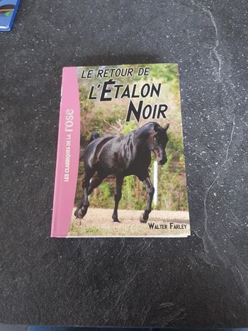 Livre bibliothèque rose le retour de l'étalon noir tome 2