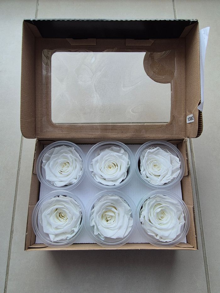 Roses éternelles - photo numéro 2