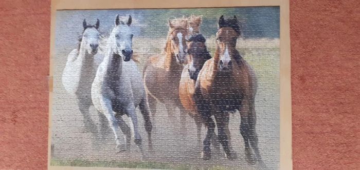 🐴Puzzle chevaux 1000 pièces - photo numéro 2