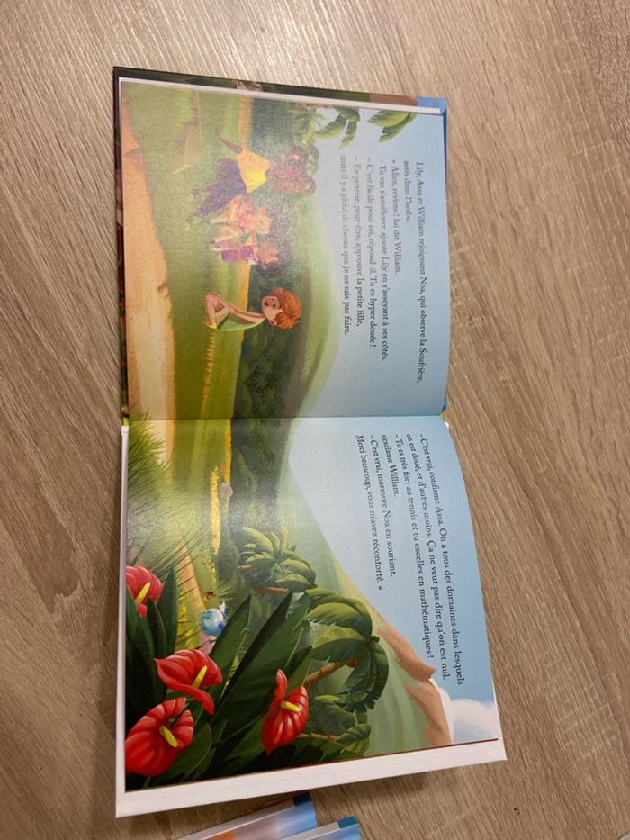 Le volcan de la Soufrière - photo numéro 3