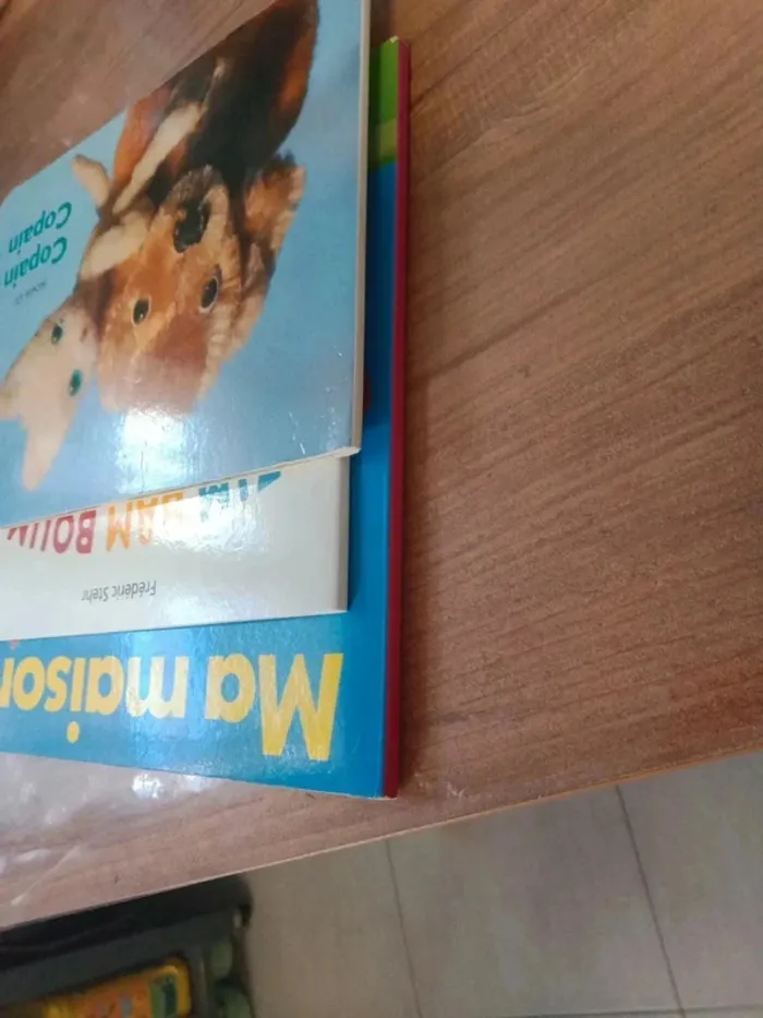 Livre pour enfants - photo numéro 13