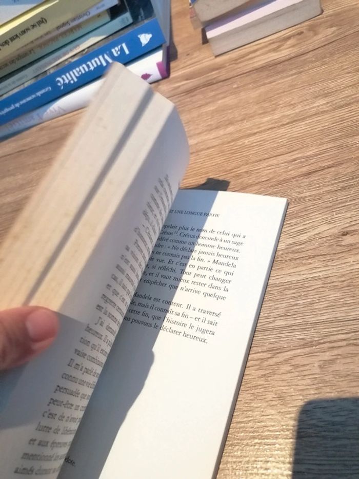 Les chemins de Nelson Mandela - photo numéro 4