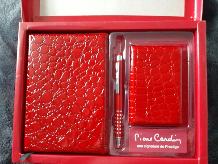 ensemble repertoire stylo Pierre Cardin