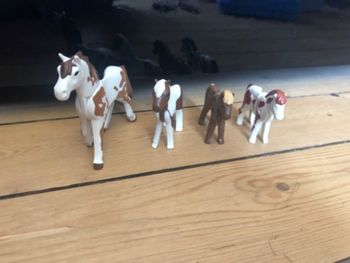 Lot cheveux playmobil