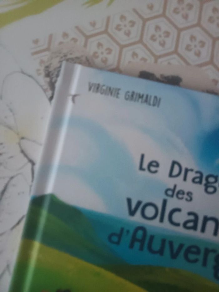 Livre Mcdo : Le dragon des volcans d'Auvergne - photo numéro 3