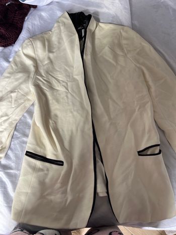 Blazer mango