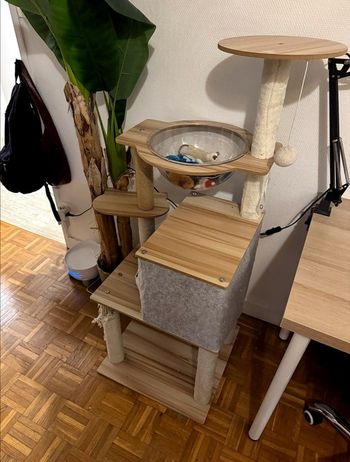 Arbre à chat