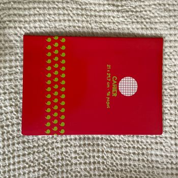 Cahier petits carreaux
