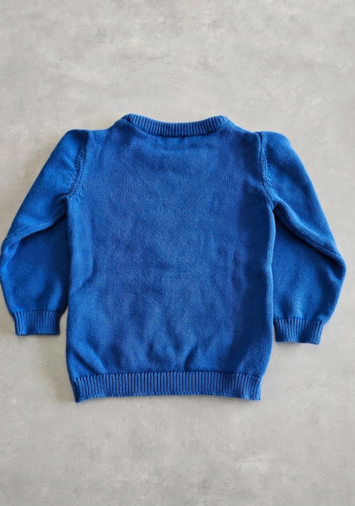 Pull du pareil au même 4 ans - photo numéro 2