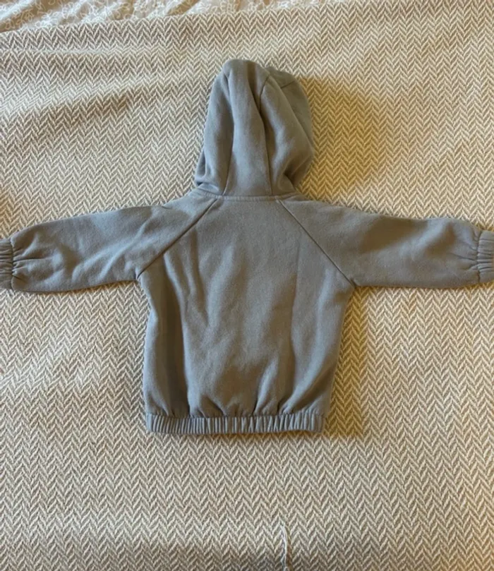 Veste capuche grise bébé 9 mois - photo numéro 4