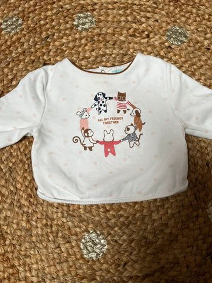 Lot de 6 sweat - Taille 12 mois - photo numéro 5