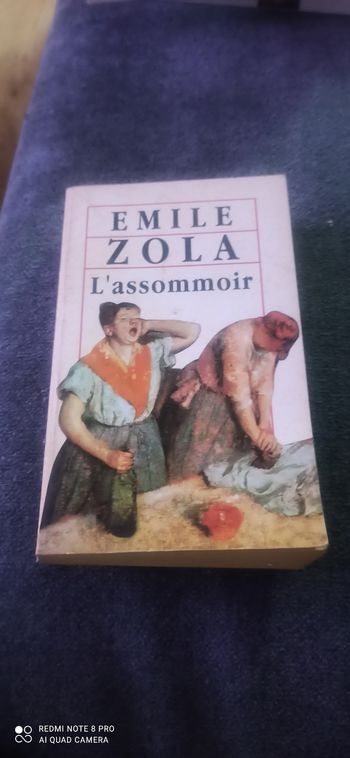 Livre l assommoir