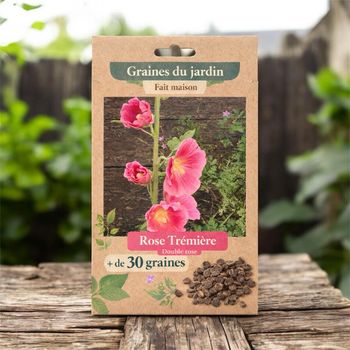 Roses trémières (Double rose) + de 30 graines