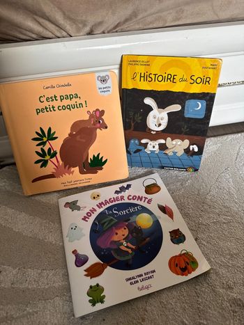Lot 3 livres enfants te es bon état
