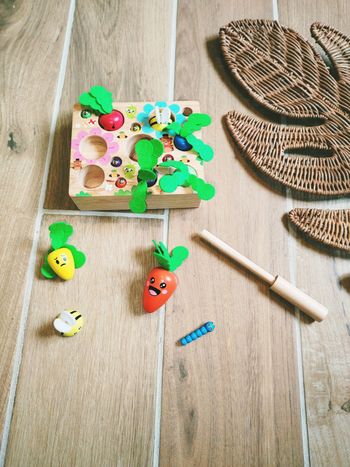 🥕Pêche à la ligne magnétique éducatif 3 en 1 Apprendre les émotions en bois