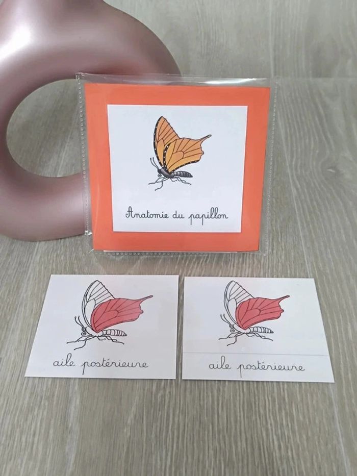 Cartes de nomenclature du papillon - photo numéro 2