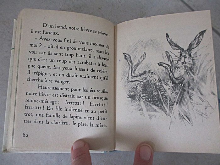 Livre enfant Les Animaux du Petit Bois – Anne-Marie Dalmais - photo numéro 4