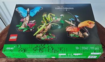 Neuf - Lego 21342 La collection d'insectes