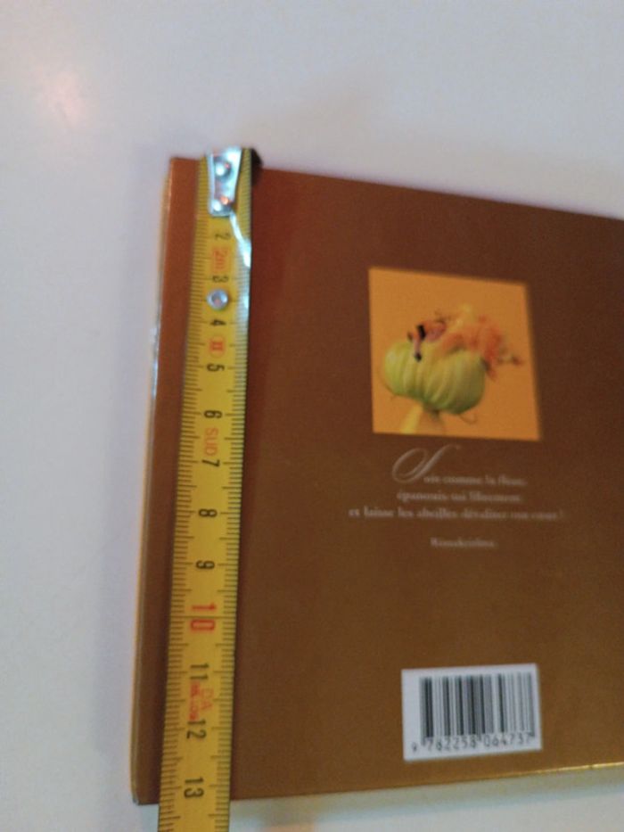 Petit small Livre Book jaune yellow abeille bee photo photographie Anne Geddes bébé baby amour 2003 - photo numéro 8