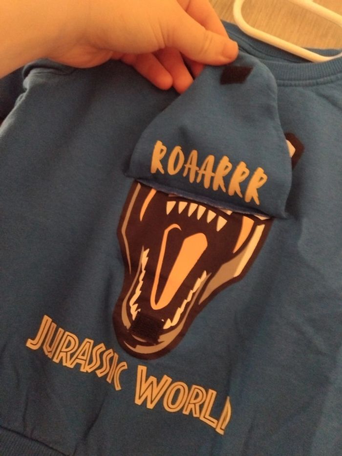 Pull 🦖 - photo numéro 2