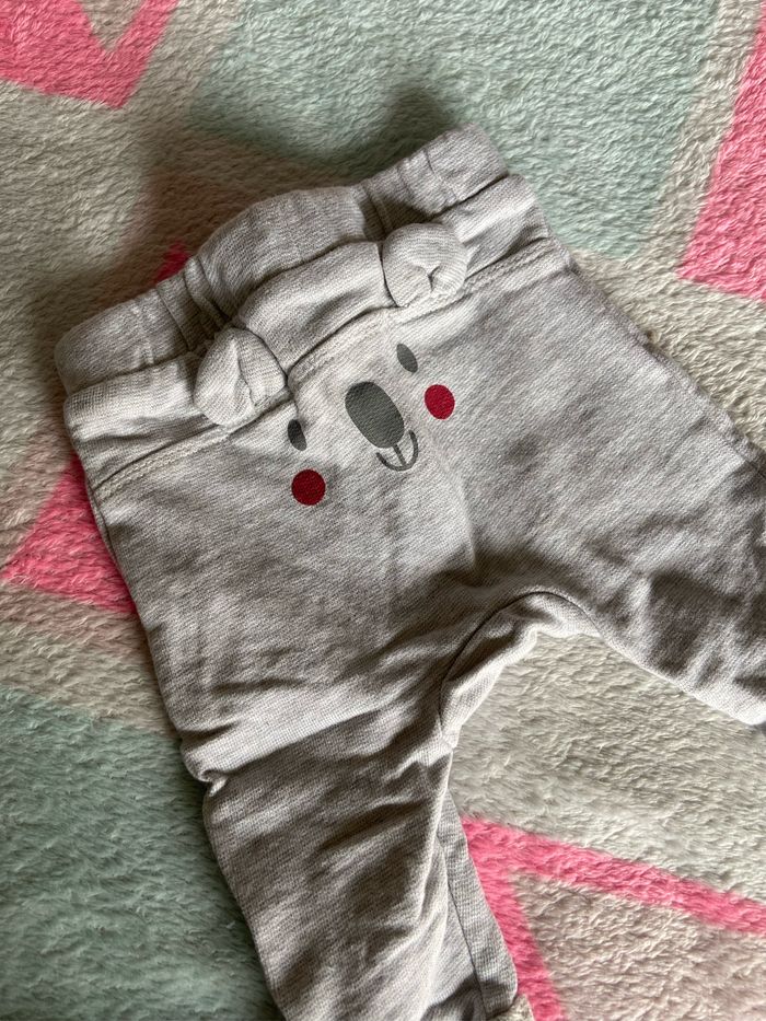 Ensemble koala - photo numéro 2