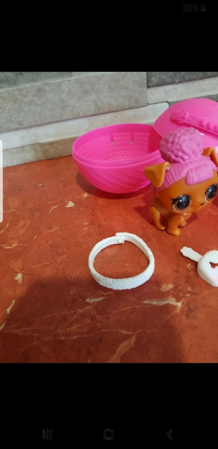 Pets animals Hooper D.O.G - photo numéro 4