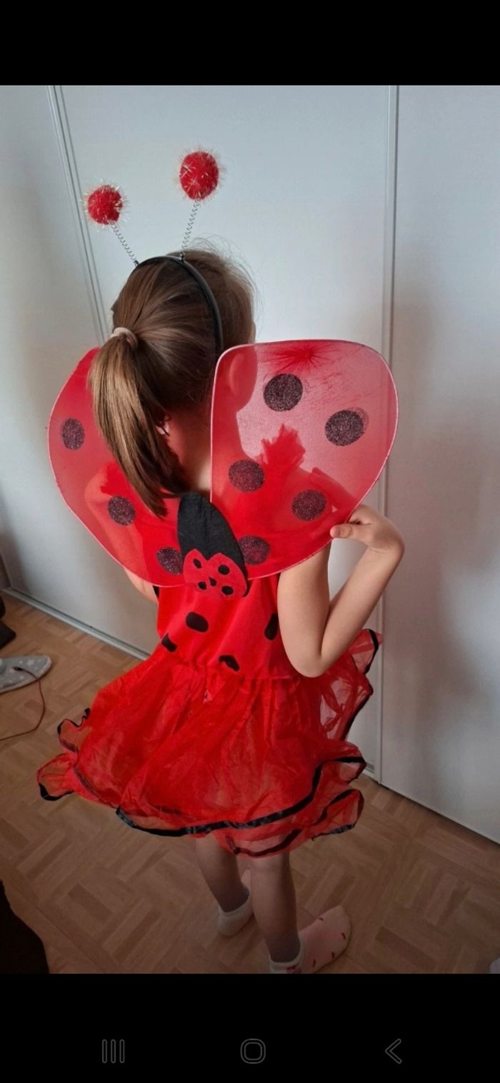 Déguisement coccinelle 🐞 - photo numéro 5