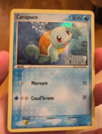 Carapuce bloc ex gardien de cristal Pokémon