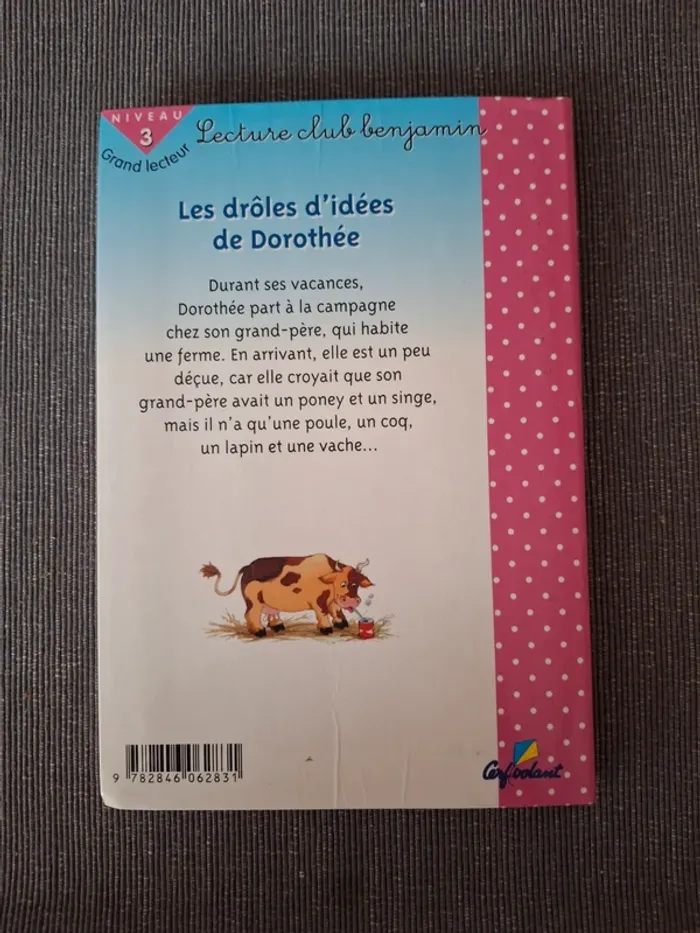 Livre enfants Les drôles d’idées de Dorothée - photo numéro 2