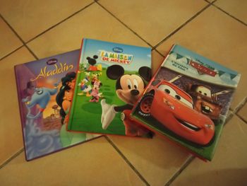 Lot 3 livres Disney