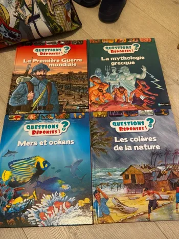 Lot de 4 bd questions réponses