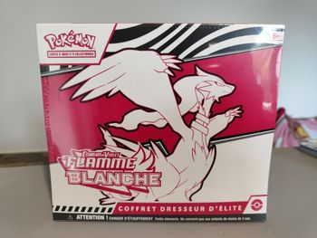 ETB ev10.5 flamme blanche FR