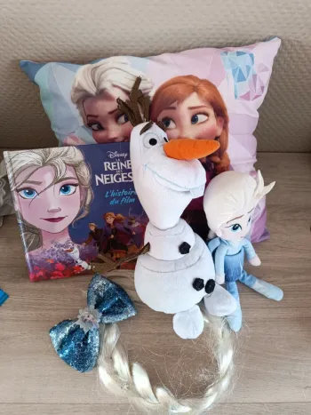 Lot Frozen la reine des neiges