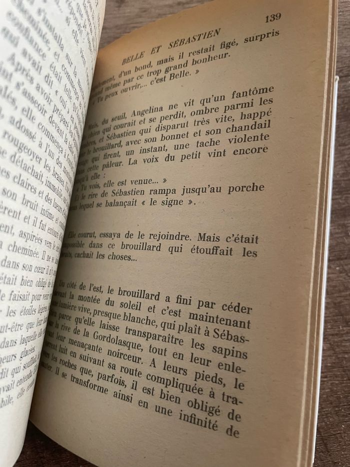 Belle et Sébastien - photo numéro 7