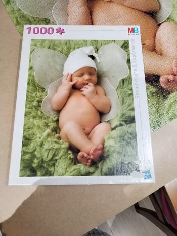 Puzzle 1000 pièces