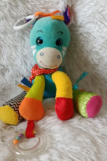 Doudou peluche Rio le zèbre d activités - Baby Nat 