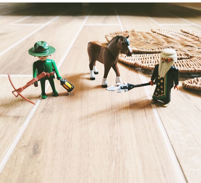 🐴Playmobil lot de figurines Robin des bois, cheval et Magicien
