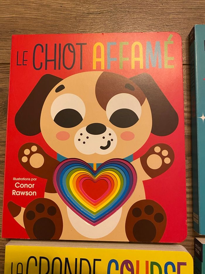 Lot 4 livres multicolores - photo numéro 2