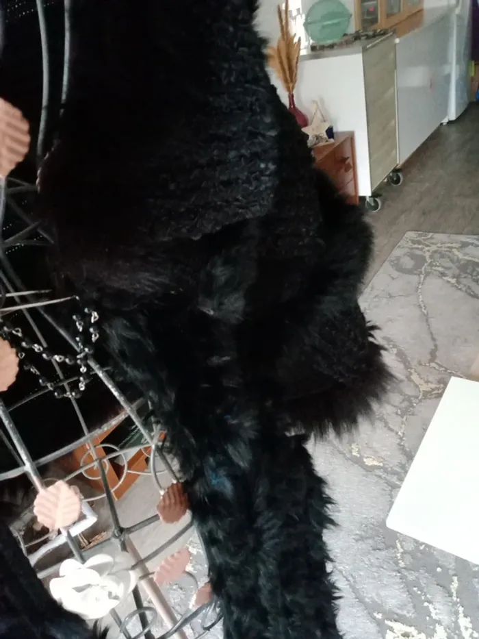 Gilet sans manches style cape - photo numéro 5