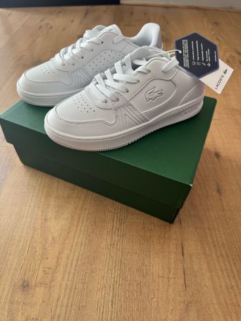 Baskets Lacoste 001