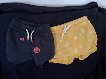 2 Shorts